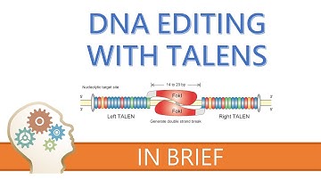 TALENs - TALE NUCLEASES - GENE EDITING EXPLAINED!