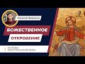 Что такое вера и Божественное откровение | Основы христианства | Алексей Шириков