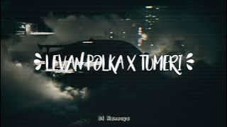 DJ MASHUP LEVAN POLKA X TUMERI REMIX FULL BASS 2024 VIRAL TIKTOK