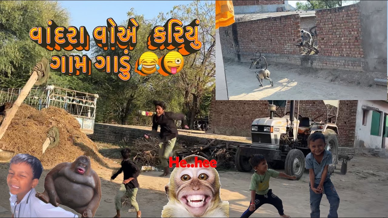 વાંદરા એ તો આખું ગામ ગાંડુ કર્યું 😂🤣
