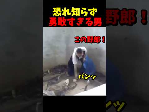 噛まれたら即死のサムネイル