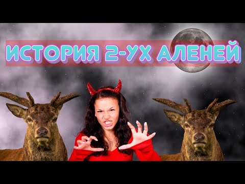 История отношений-2-ух Аленей, за РСП с 3-мя детьми. Откуда такое неуважение самих себя?
