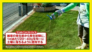 シバキーププラスα：シバキープNAVI 芝専用 除草剤 シバキープシリーズ