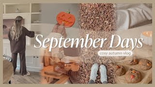 HELLO AUTUMN | september days, baking pumpkin cookies, slow cooker dinner & home haul