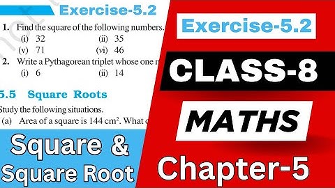 Class 8 Maths Ex 5.2 | Chapter 5 Squares and Square Roots | #class8maths 