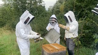 Keeping Up With The Bees In Fleurie, France