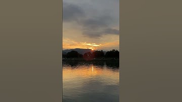 Livestream-Highlight