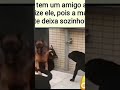 Valorize o verdadeiro amigo