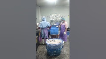 CNC fish slicer for factory