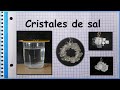 Como hacer cristales de sal en casa o en la escuela