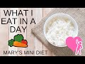 MARY'S MINI DIET |WHAT I EAT IN A DAY |  | RICE MINI