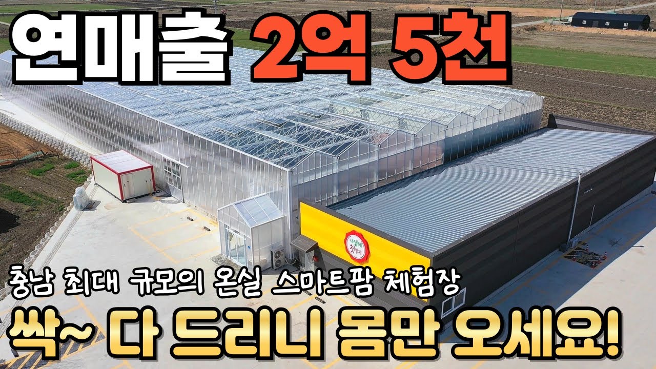[422] 🚨급매🚨 연매출 2억 5천! / 싹~ 다 준비 했으니 몸만 오세요! / 충남 최대 규모 딸기 수확 체험장 / 충청남도 아산시 송악면 스마트팜 딸기 체험 농장 매매