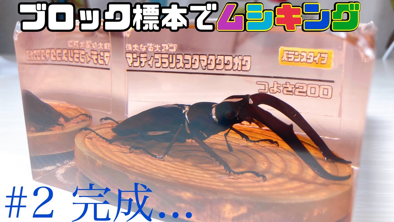ムシキング】透明レジンで固める標本の作り方 - YouTube