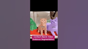 Context-Aware Video Instance Segmentation #artificialintelligence #ai #computervision #automation