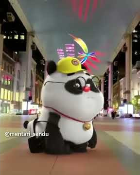 Panda menari dengan lagu ( eyy sorry nyanda barasa )