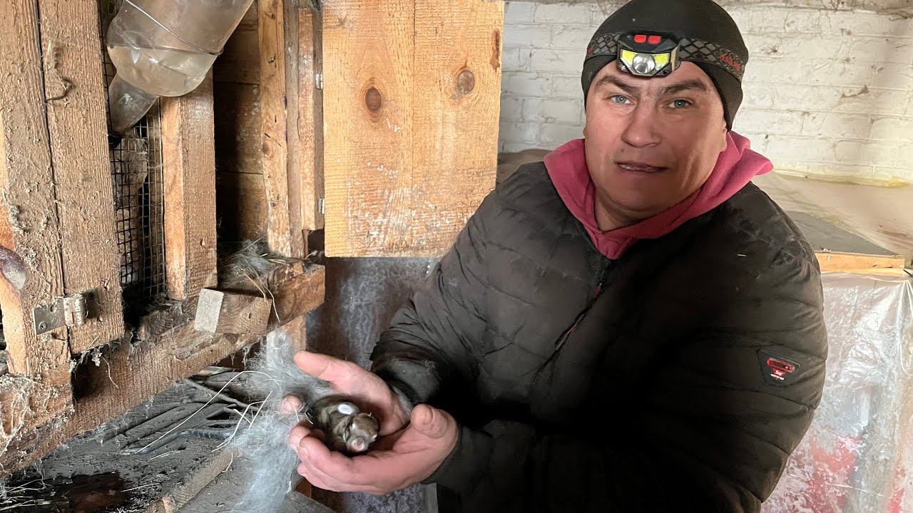 Так много ещё не было! Поставил новый. 