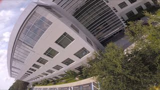 Sundays at the office | FPV Freestyle