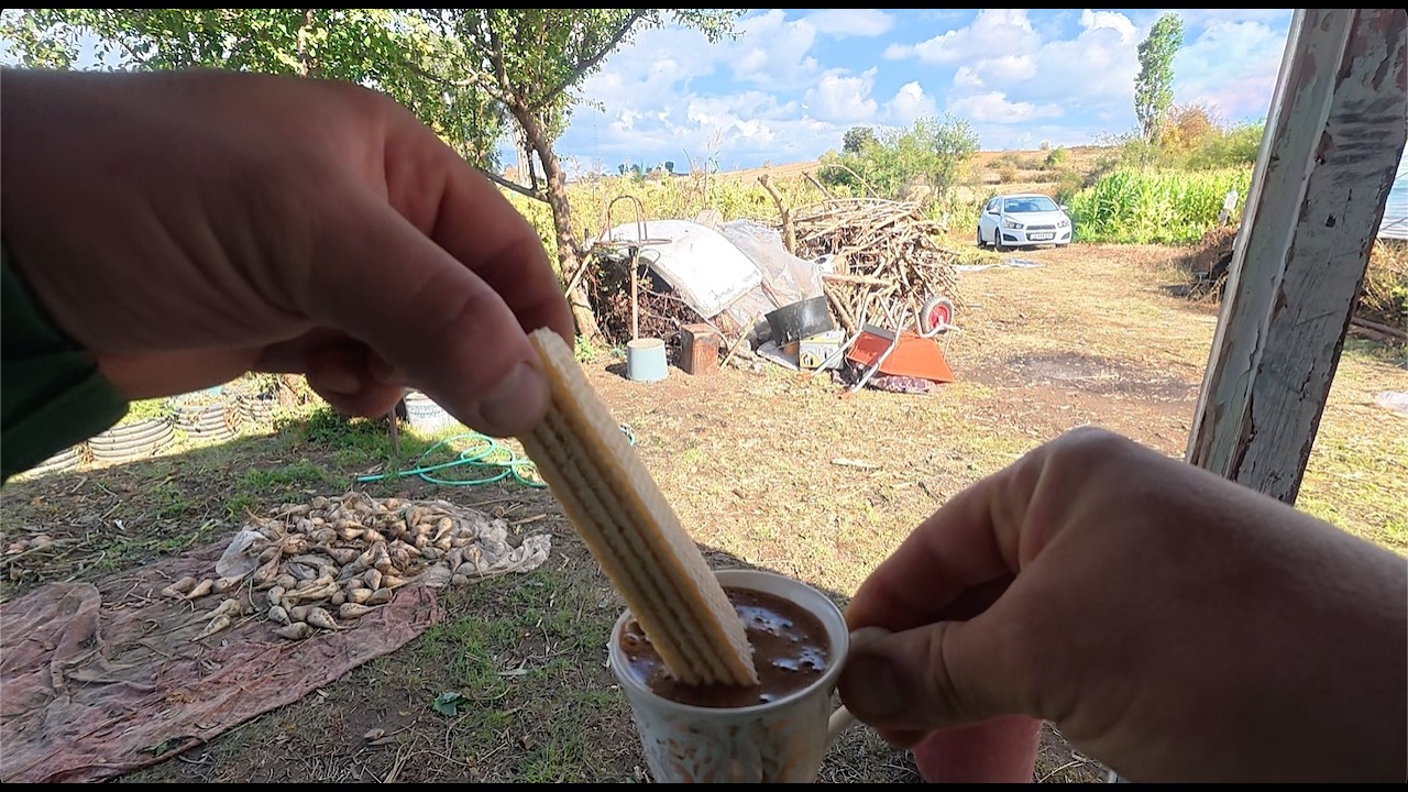 KÖYDE HAYATLAR NASIL? - (KIŞLIK ODUN, BOLCA ÇİLEK) - PAZARYERİ VLOG/2