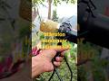 Mikrofon kondensor studio bm 800   Link, cek di bio No 83