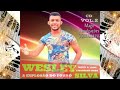 Cd wesley silva a exploso do forr volume 2 vero 2020 cd completo