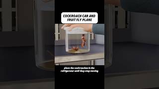 Cockroach car and fruit fly plane #konwledge #recommended #science