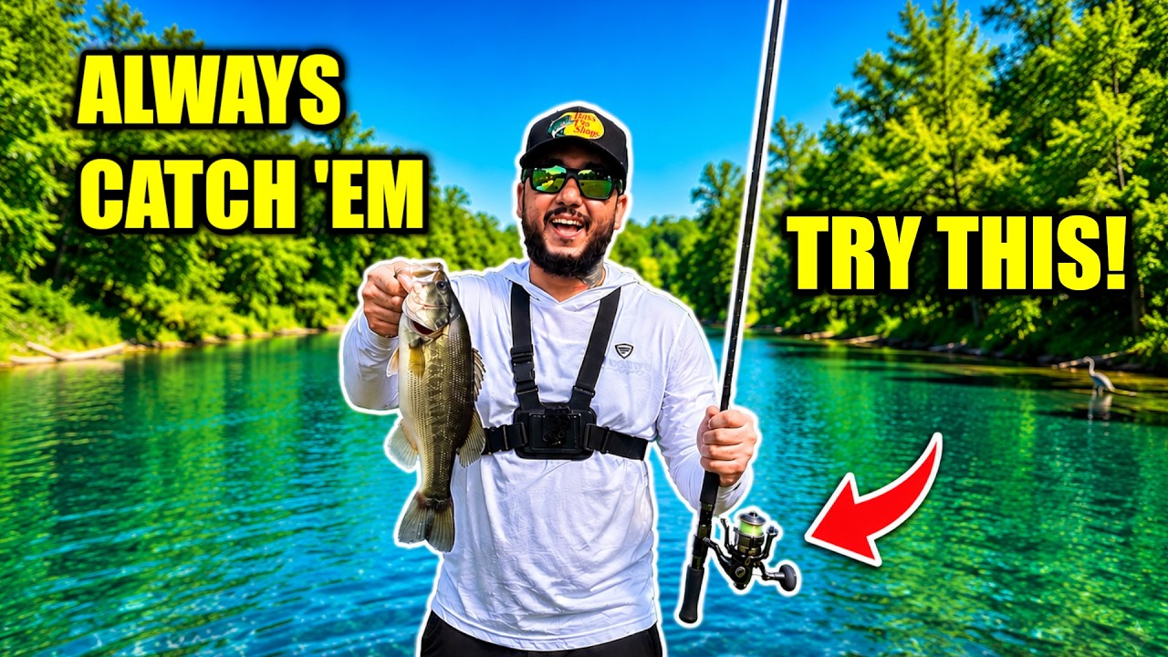 This Technique Always Catches Bass (Even in PRESSURED Ponds)