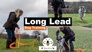 Long lead dog training for puppy Buzzy by Rebecca Goutorbe 202 views 2 months ago 5 minutes, 25 seconds