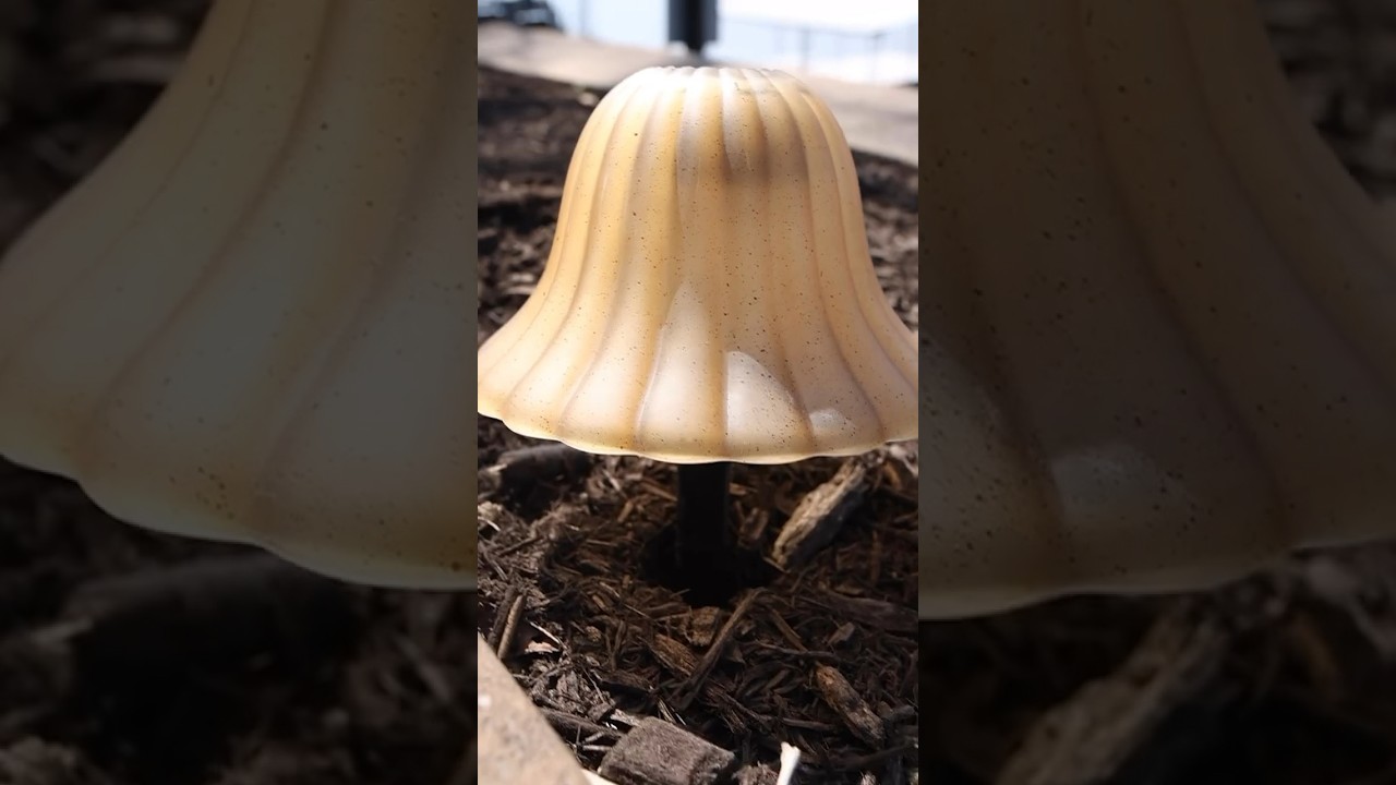 Solar Light DIY with Thrifted Items 