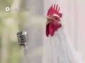 Dj chicken mix 2017