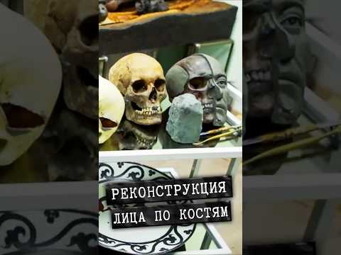 Как воссоздают внешность по черепу. Метод Герасимова #shorts #криминал #детектив