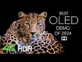LEGENDARY ANIMALS in DOLBY VISION™ 4K ULTRA HD HDR (2024)