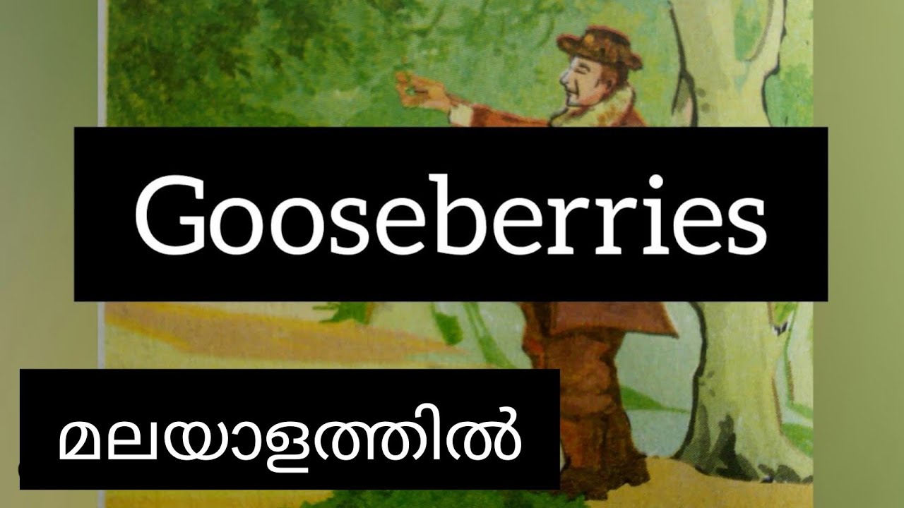 Gooseberries in Malayalam