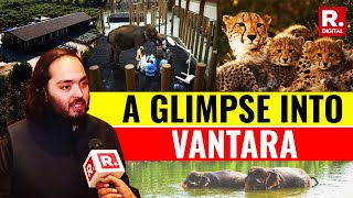 Inside Vantara, Anant Ambani Led 3,000 Acre Animal Rescue, Care Facility In Jamnagar | Watch screenshot 3