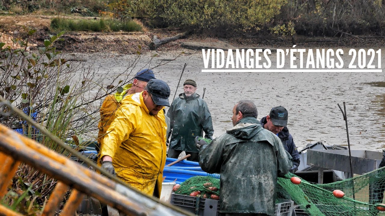 Filets de vidange d'étangs