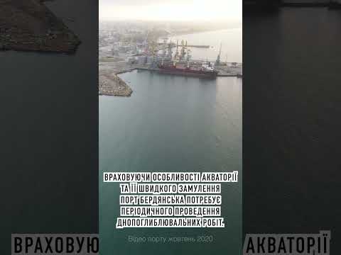 Майно Бердянського порту разом з флотом &quot;передають&quot; до федеральної власності рф #бердянськ
