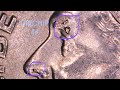 2018 P Roosevelt Dime Multiple Die Chips Obverse and Reverse #shortvideo #subscribe #dime #coin