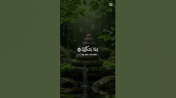 سورة النحل من الآية 126-128