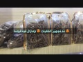 مؤسسة رياحين العود سنابات اليوم الثالث 22 شعبان 1437 هـ