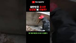 하수구 공사를 하려고 땅을 파봤더니 공사 폐기물이 잔뜩 있었다 | 하수구공식티비