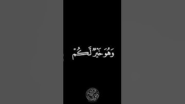 وَعَسَى أَنْ تَكْرَهُوا شَيْئًا وَهُوَ خَيْرٌ لَكُمْ - القارئ فارس عباد 🌿💚