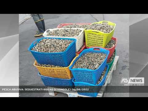 PESCA ABUSIVA: SEQUESTRATI 600 KG DI VONGOLE | 24/06/2022