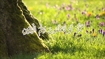 Abdul Rahman Al Sudais - Surat At-Takāthur | عبد الرحمن السديس - سورة التكاثر