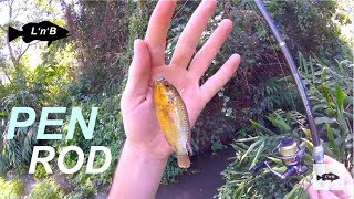 Jungle PEN ROD Microfishing for RARE Cichlids - penfishingrods.com