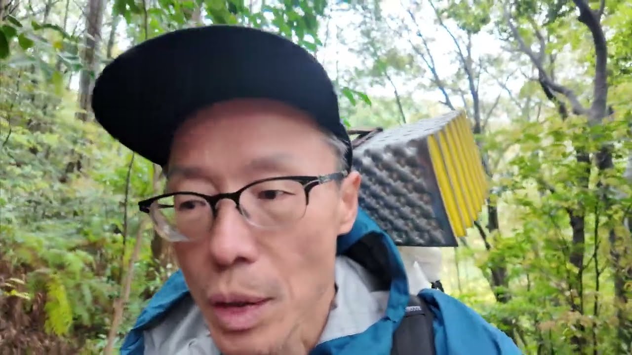 일본 구마노고도 트레킹 | 백패킹 | 세계문화유산 순례길 백패킹, 교토, 아라시야마 관광