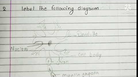 setu Abhyaskram bridge course 10th class science 2 day 7