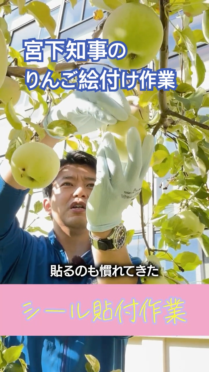 What kind of apples will we be able to make? We painted apples in