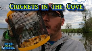 Fishing with Live Crickets in the Coves