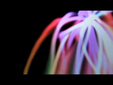THE GALACTIC FEDERATION OF LIGHT - MEDITATIVE CHANTS - YouTube
