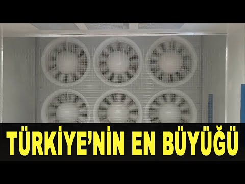 Video: Külək tuneli sınağı: Ən sürətli enmə mövqeyi hansıdır?