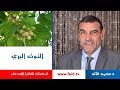           التوت البري   الفواكه الرطبة   المكونات الغذائية الأحد عشر   دكتور محمد فائد نجومي